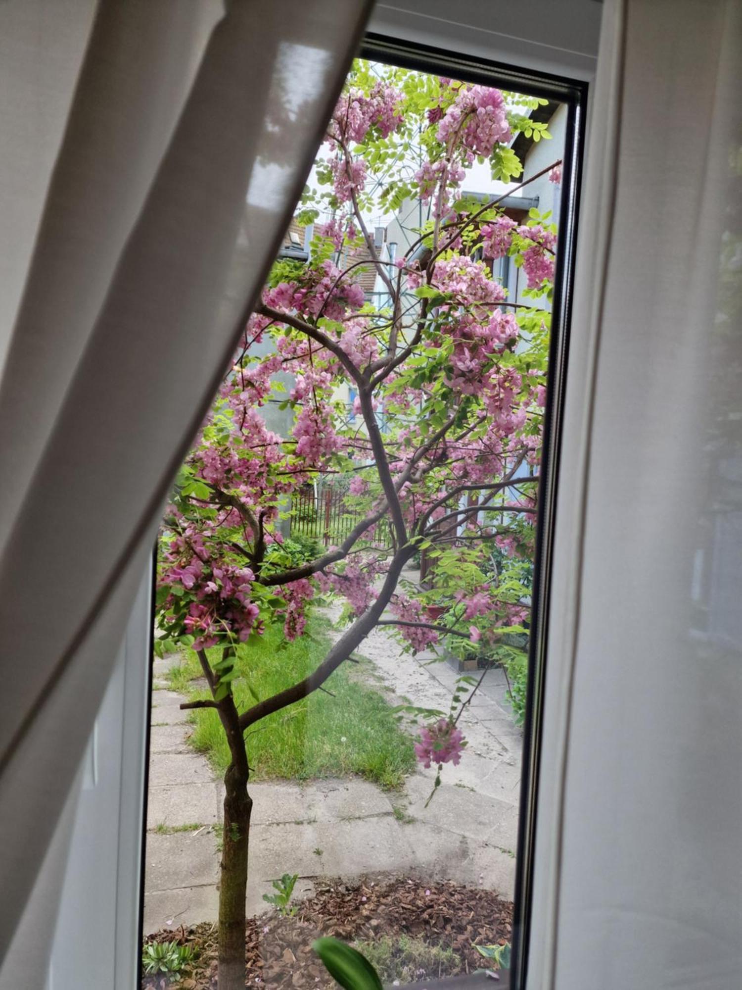 Apartament Cassino Apartment Sopot